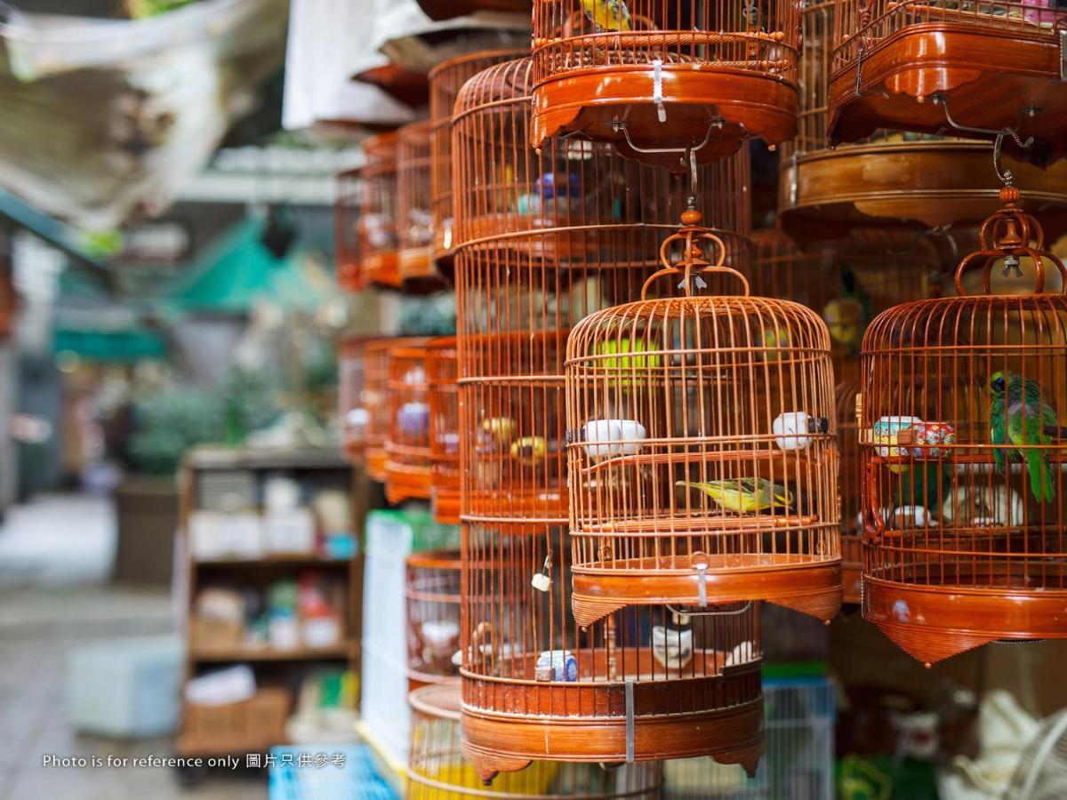 Royal Plaza Hotel Χονγκ Κονγκ Εξωτερικό φωτογραφία Bird cages at a pet shop
